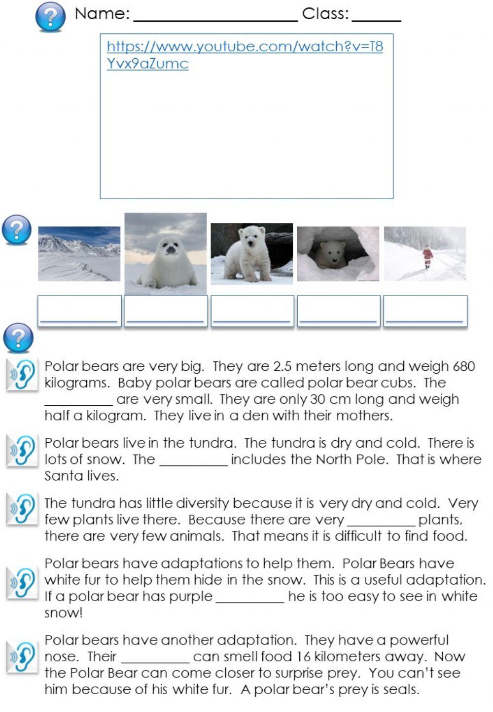 Polar Bears Page 3 Reading
