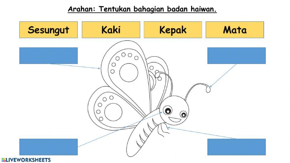 Bahagian tubuh haiwan