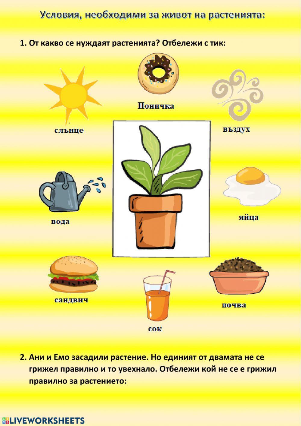 Условия за живот на растенията