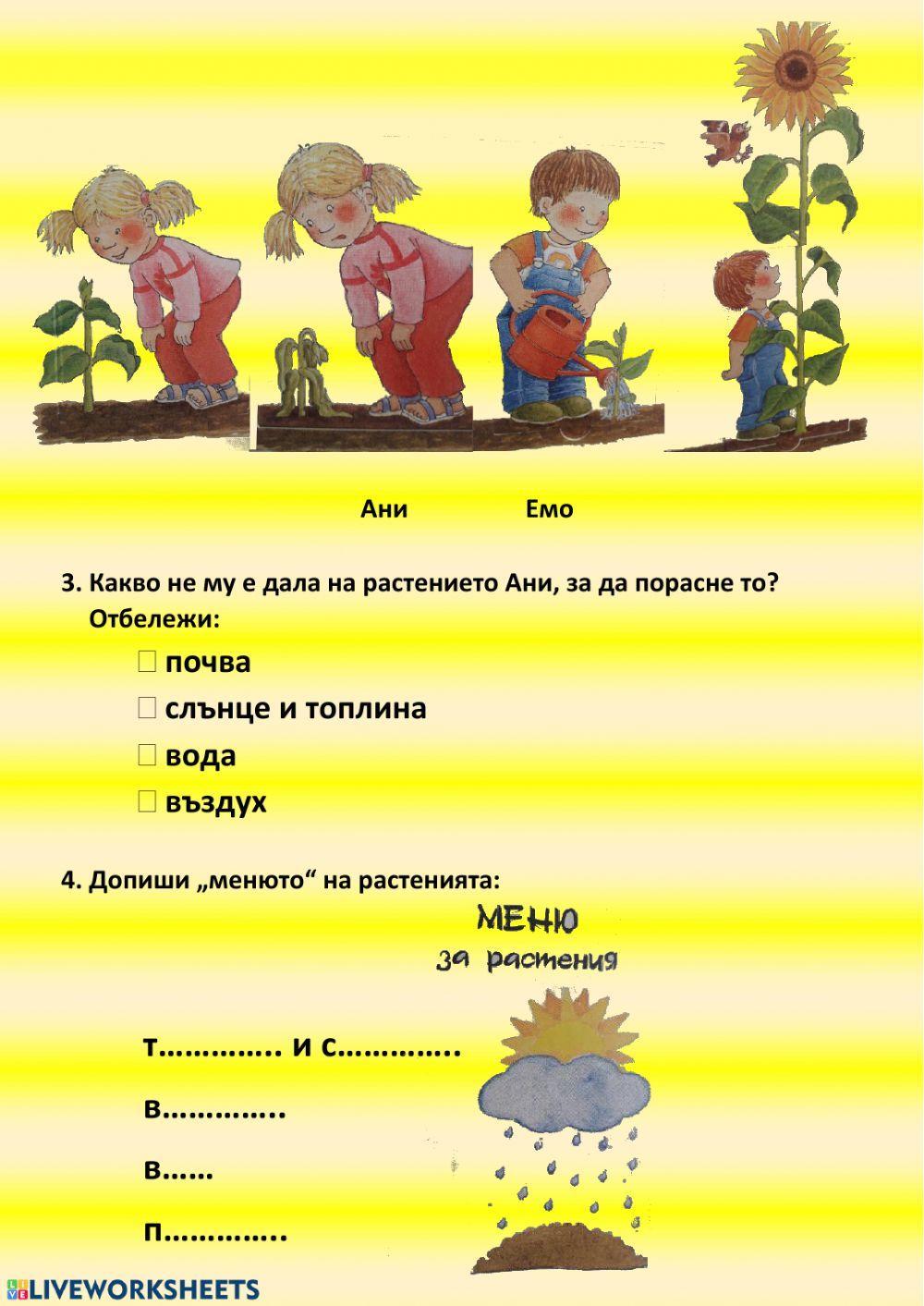 Условия за живот на растенията