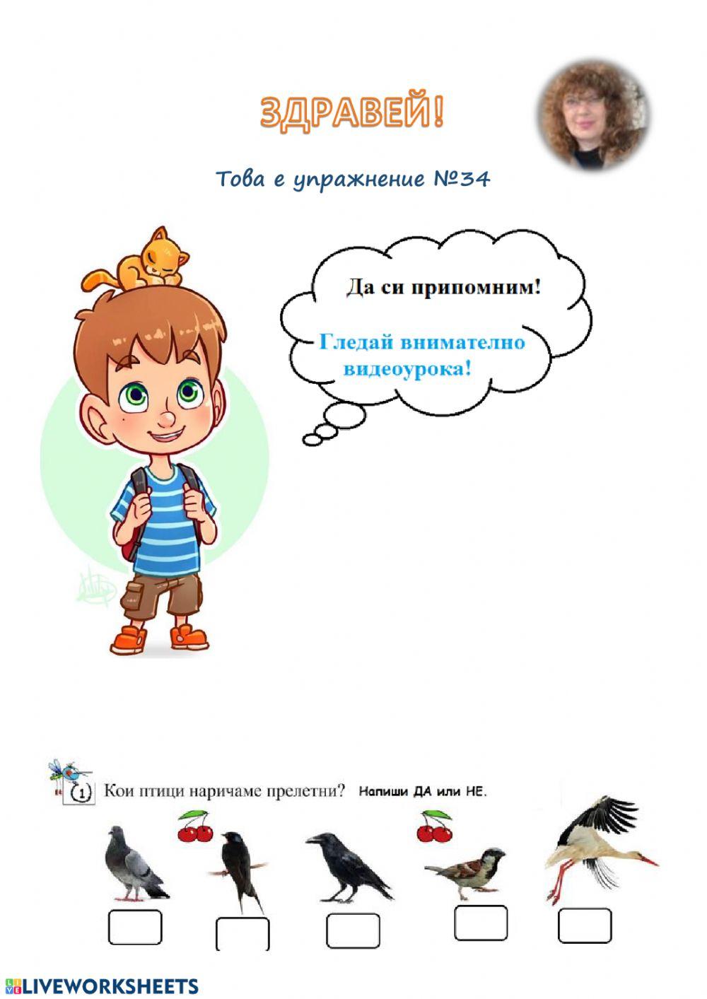 Упражнение 34