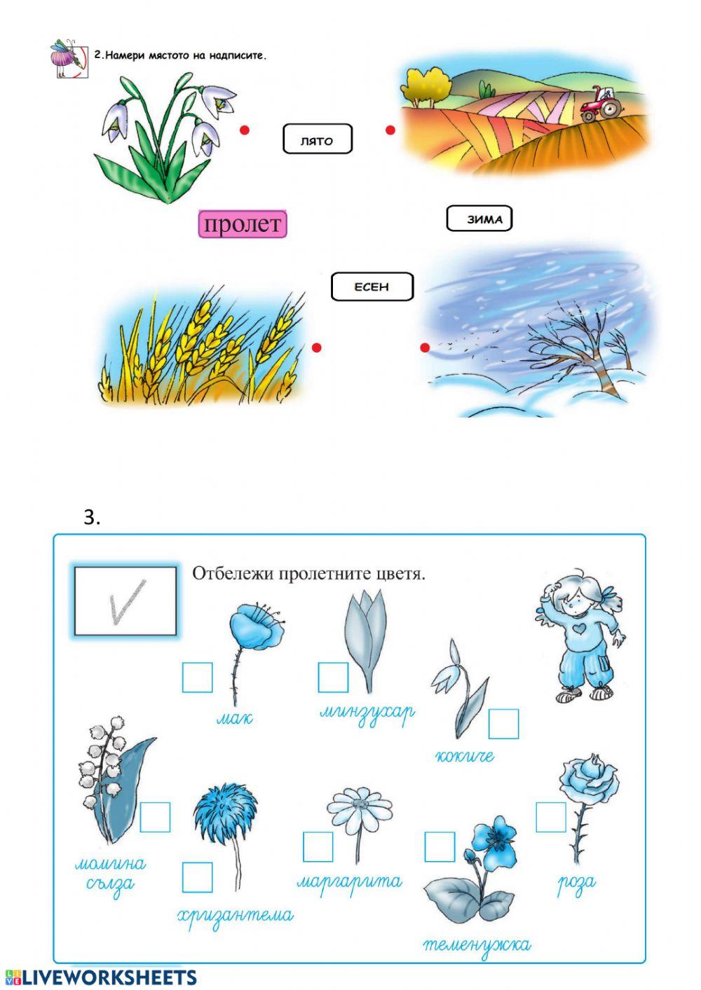 Упражнение 34