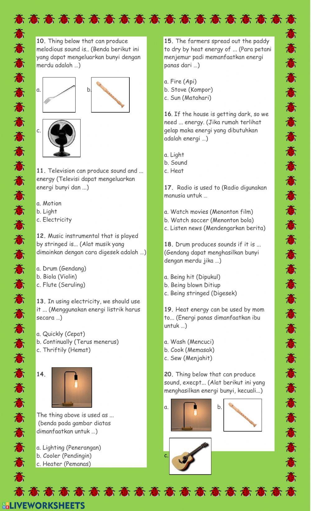 SCIENCE BILINGUAL (ENERGY AND ITS USAGE)