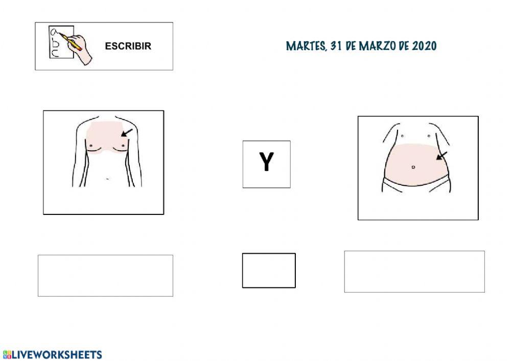 LECTOESCRITURA GLOBAL PARTES DEL CUERPO II