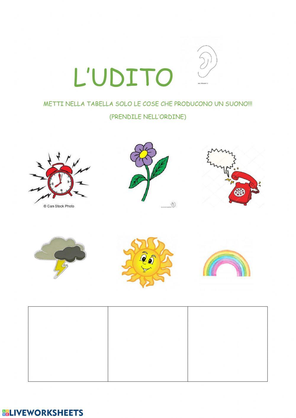 L'udito L'udito