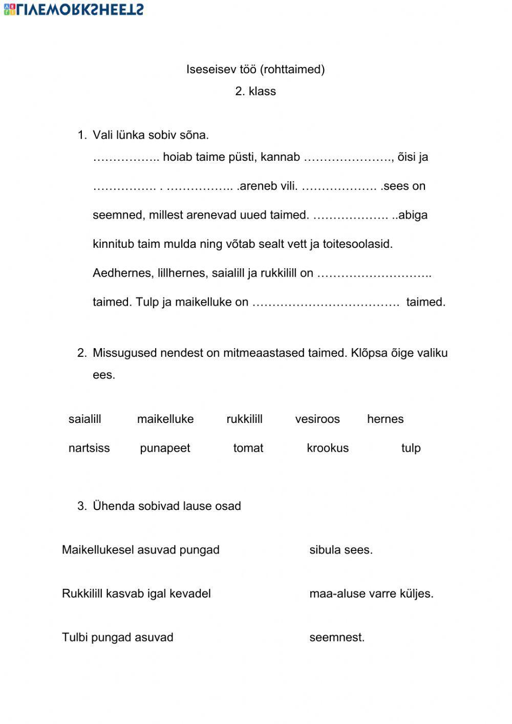 Iseseisev töö 2. kl