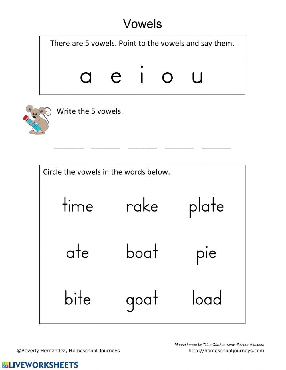 Vowel Review - Intro to Long Vowels