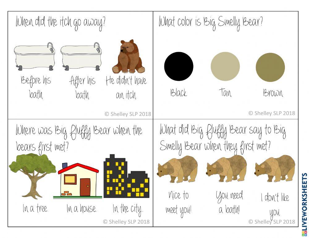 Big Smelly Bear Book Companion- WH Questions with Pictures