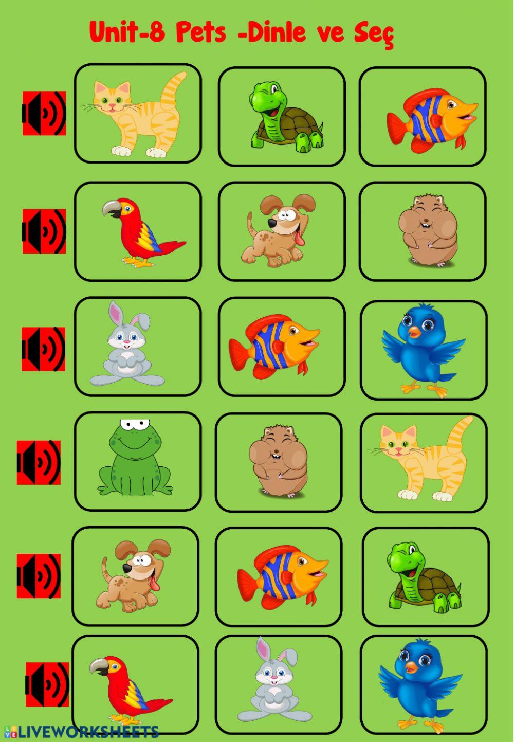 Pets-Body Listen and choose