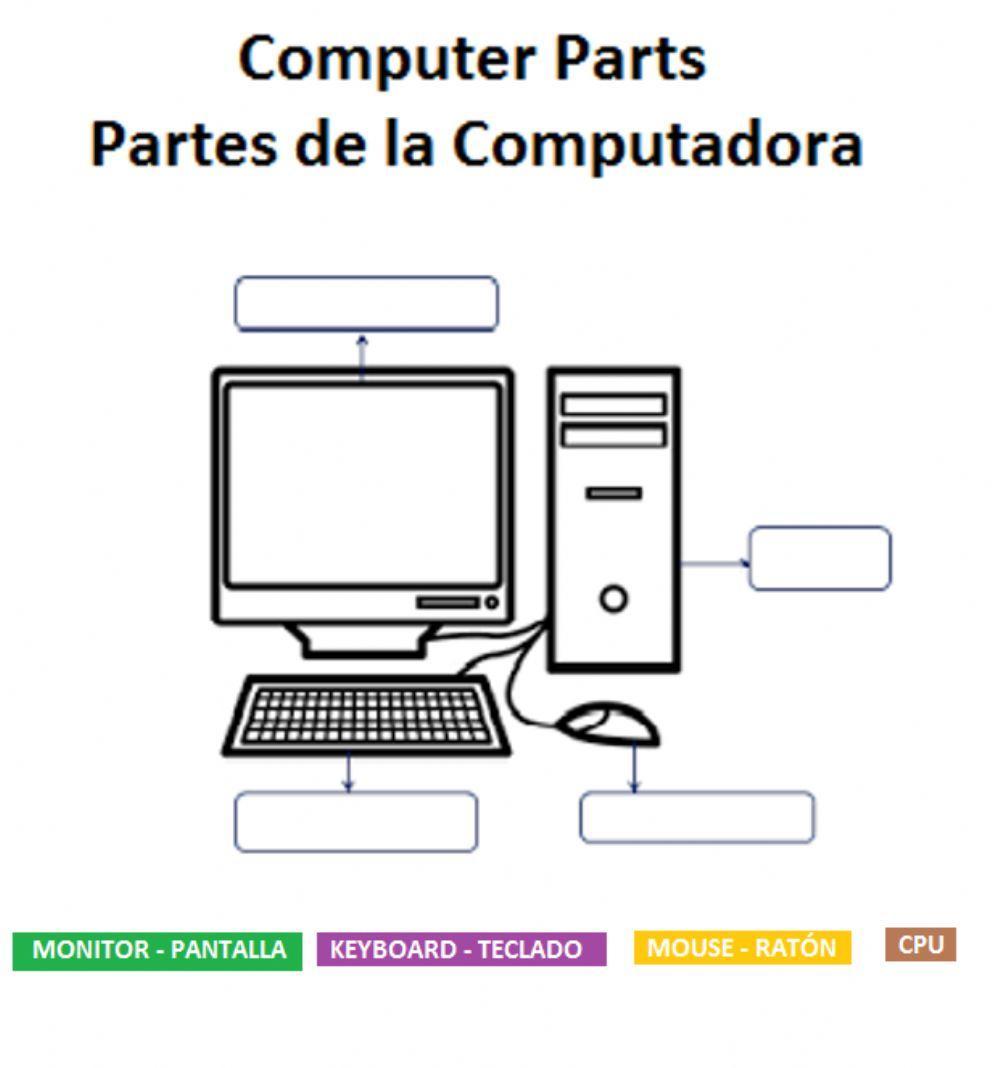 Computer Parts - Partes de la Computadora