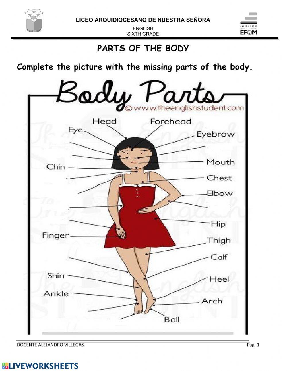 Sixth grade activity