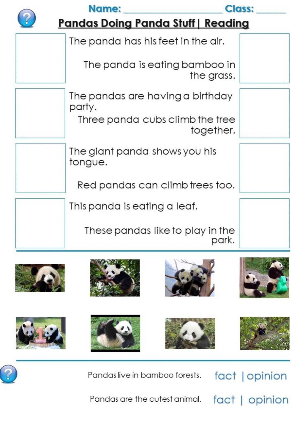 Pandas Doing Panda Stuff - Captions