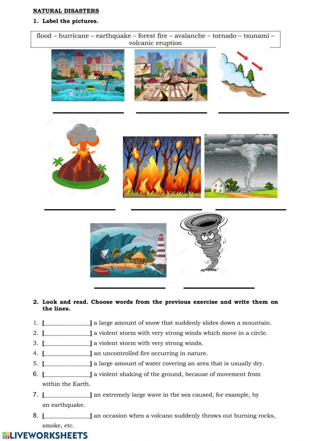 904315 Natural Disasters Sabrinagacid 904315-natural-disasters-sabrinagacid