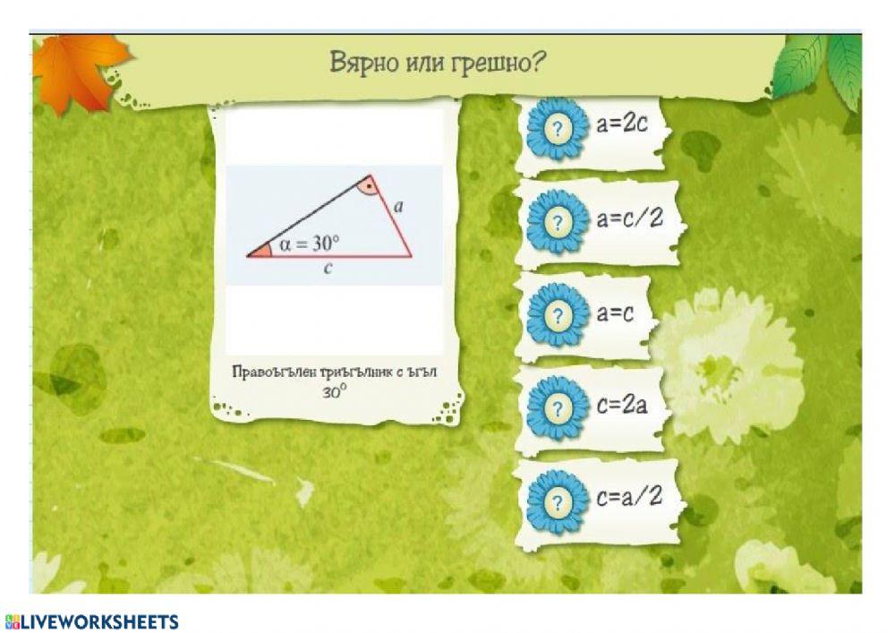 Занимателно за 7 клас