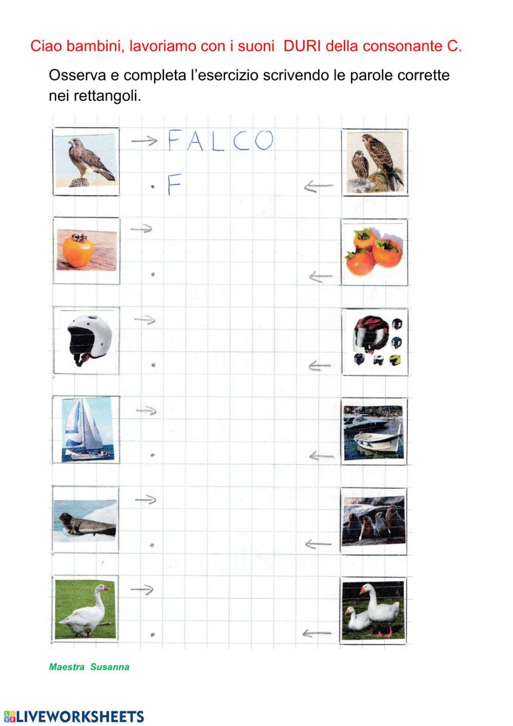 Scheda ca co che chi