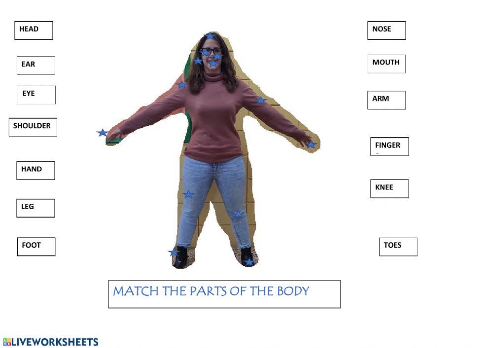 Body parts