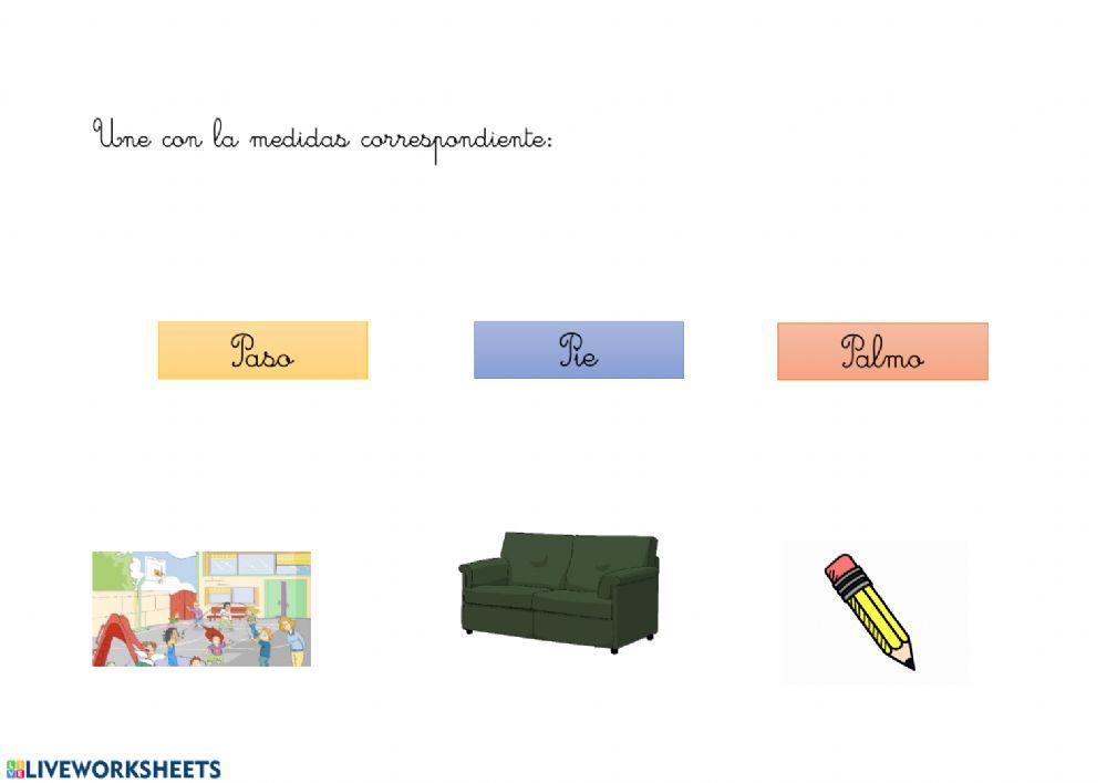 Medidas palmo pie paso