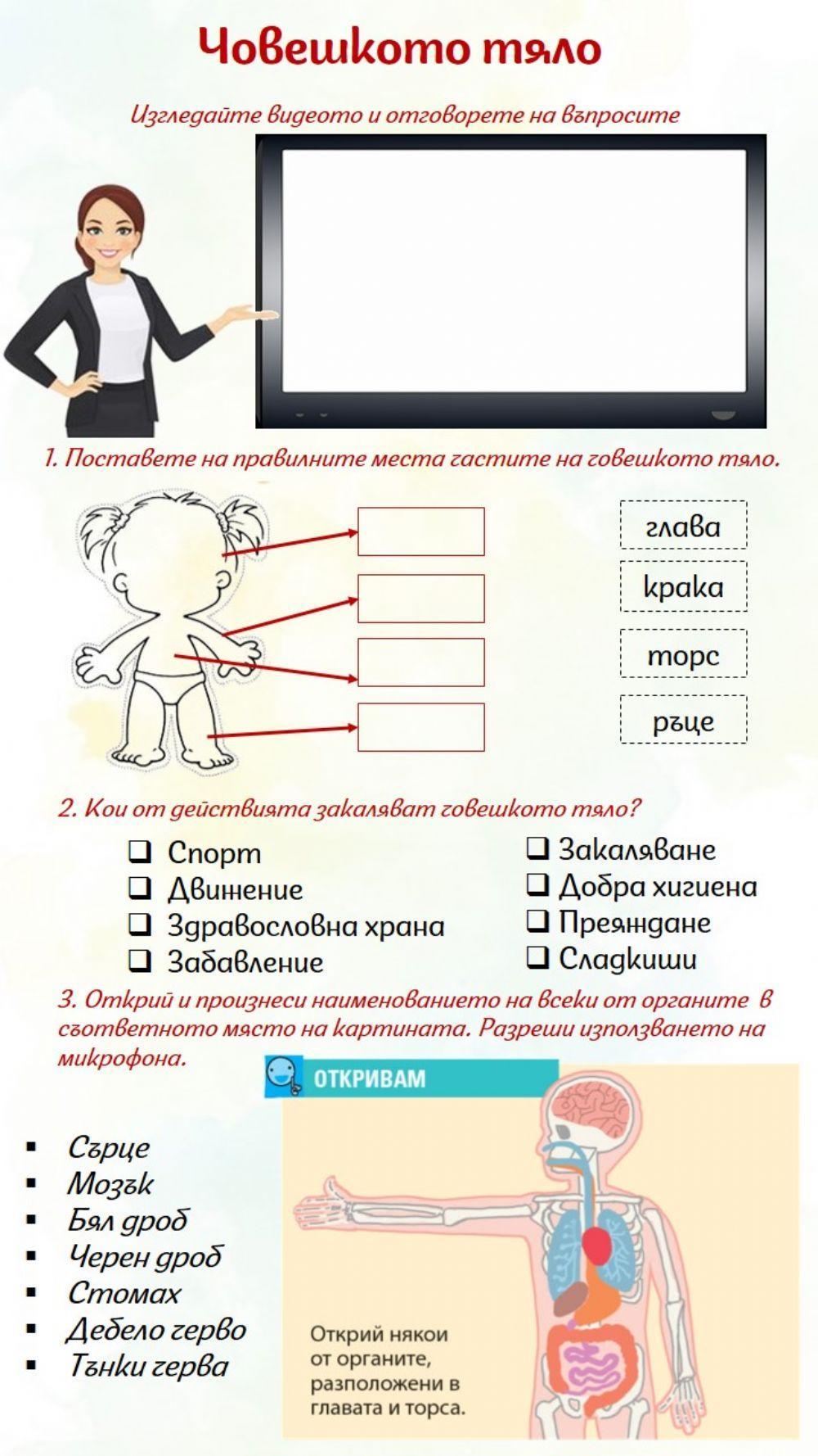 Човешкото тяло