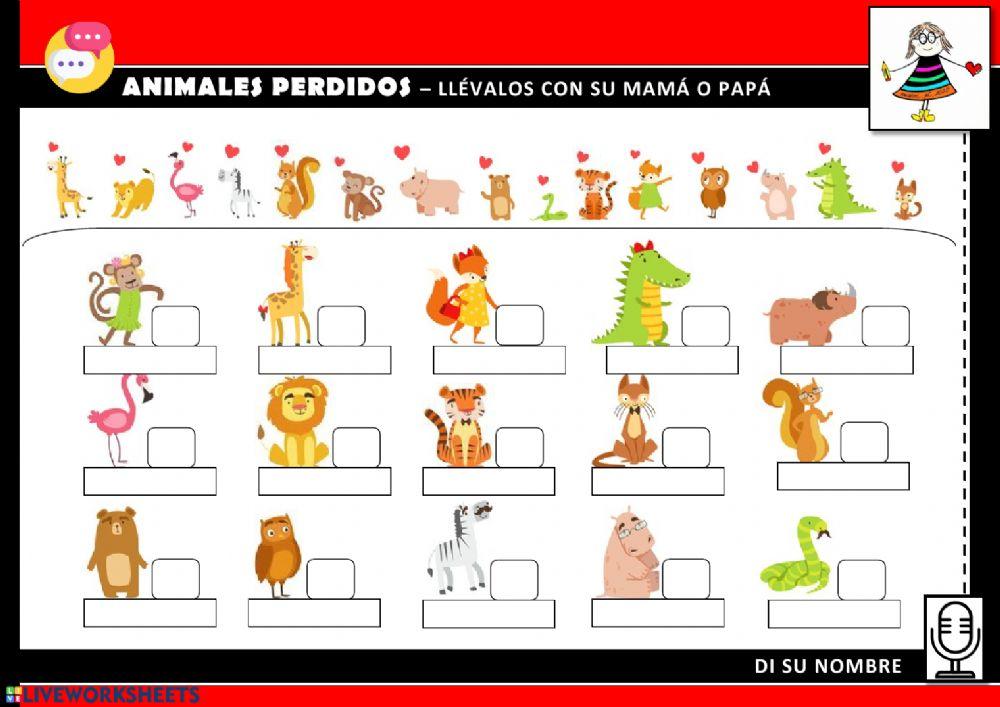 Animales perdidos
