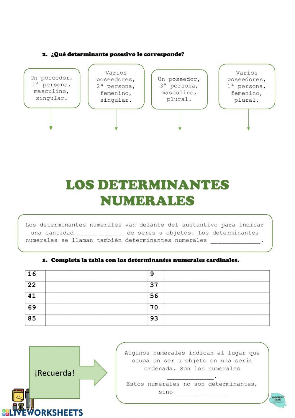 Los determinantes posesivos, numerales e indefinidos