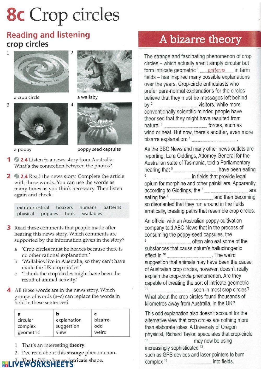 Extra Practice Unit 8