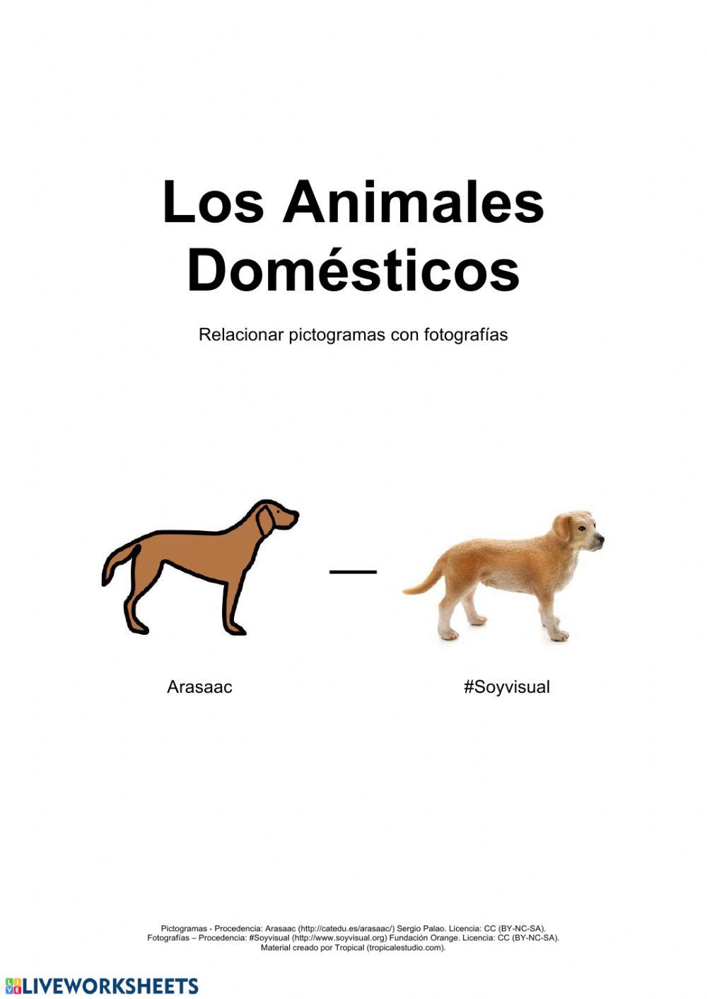Relacionar animales domésticos