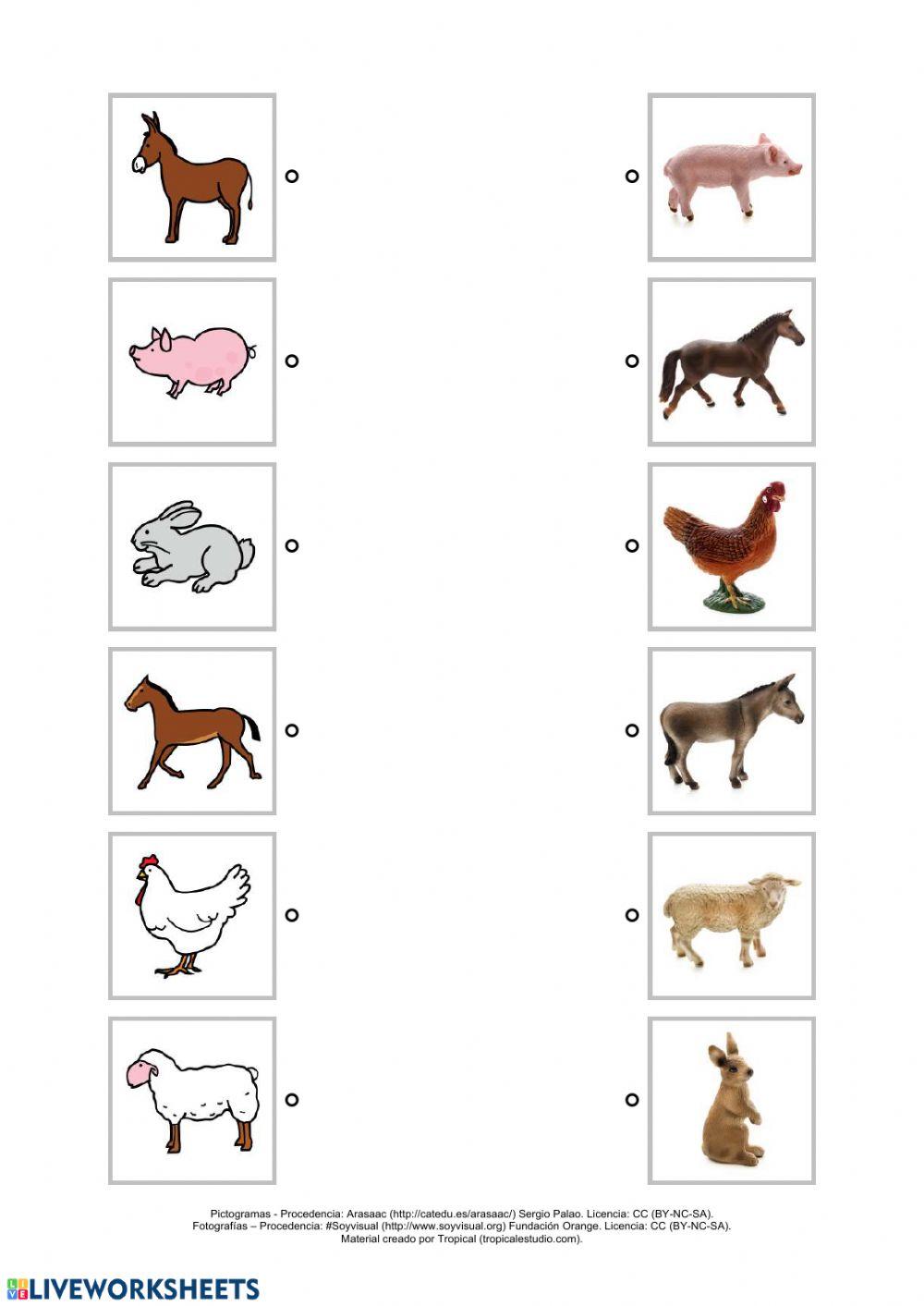 Relacionar animales domésticos