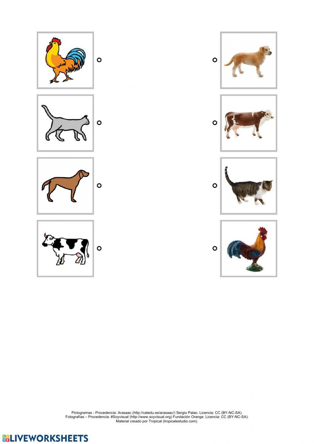 Relacionar animales domésticos
