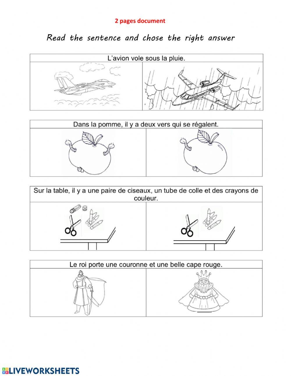 Lecture comprehension-reading C (French)