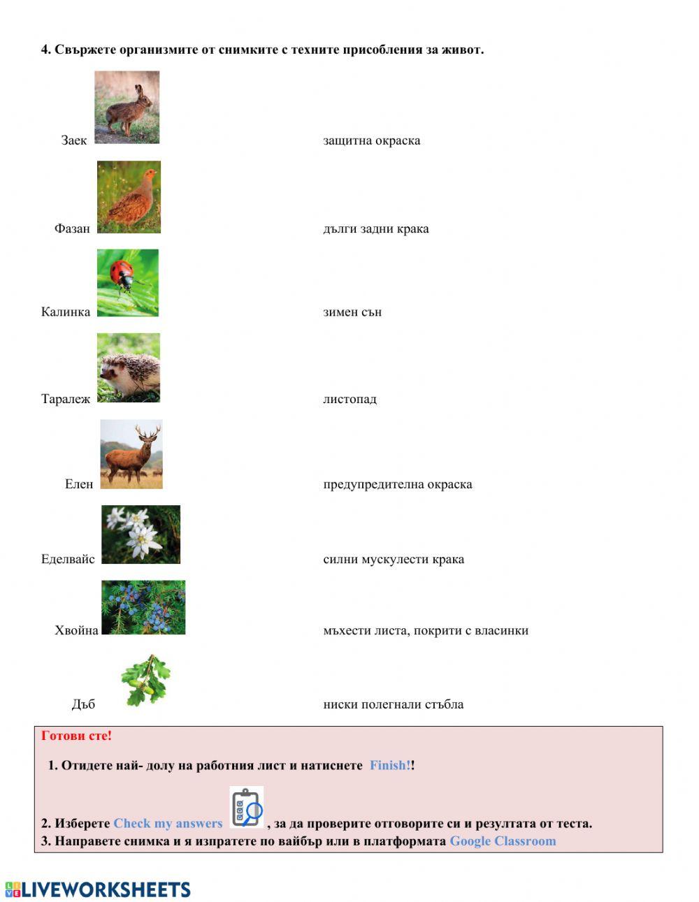 Човекът и природата- Преспособления на животните и растенията