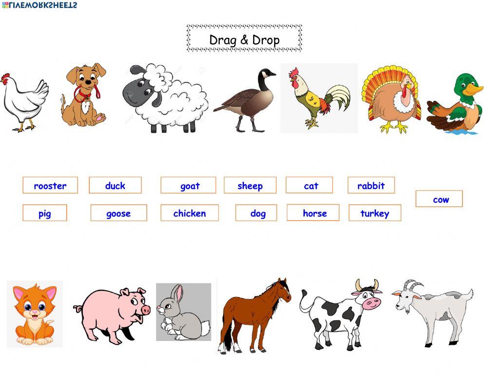Farm Animals Farm Animals