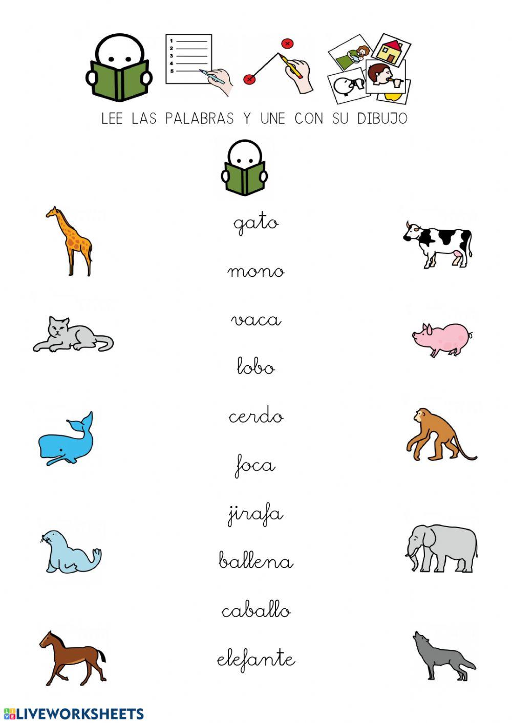 Aprendemos vocabulario