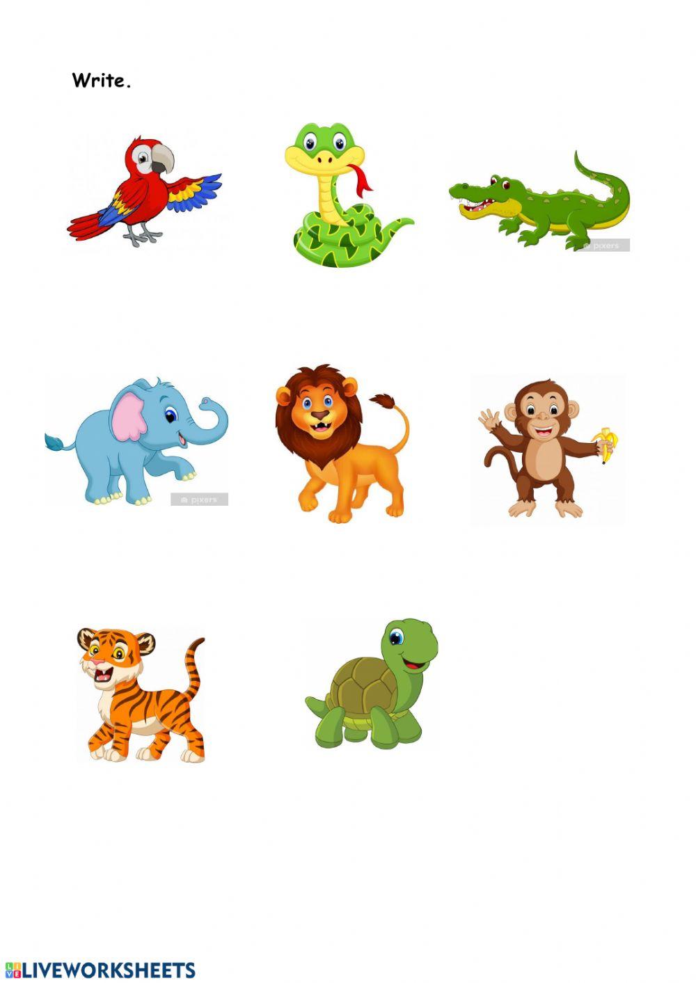 Pdf online worksheet: Wild animals | Live Worksheets