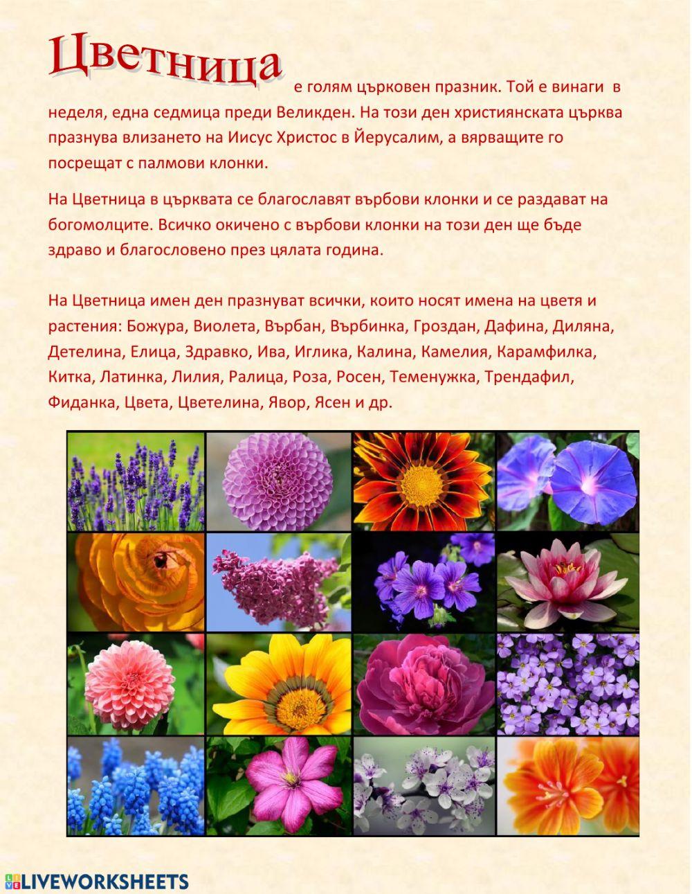 Лазаровден и Цветница