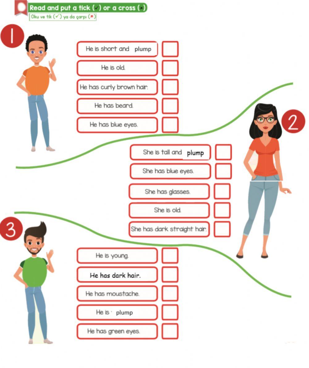4.9 my friends, physical appearance worksheet -3 4.9 my friends, physical appearance worksheet -3