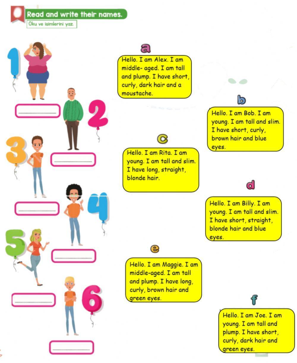4.9 my friends, physical appearance worksheet -4 4.9 my friends, physical appearance worksheet -4