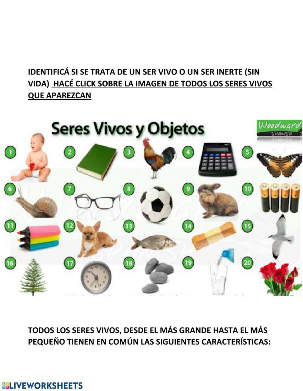 Características de los seres vivos