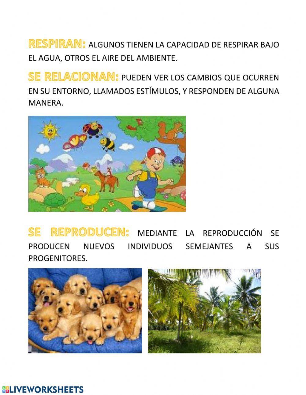 Características de los seres vivos