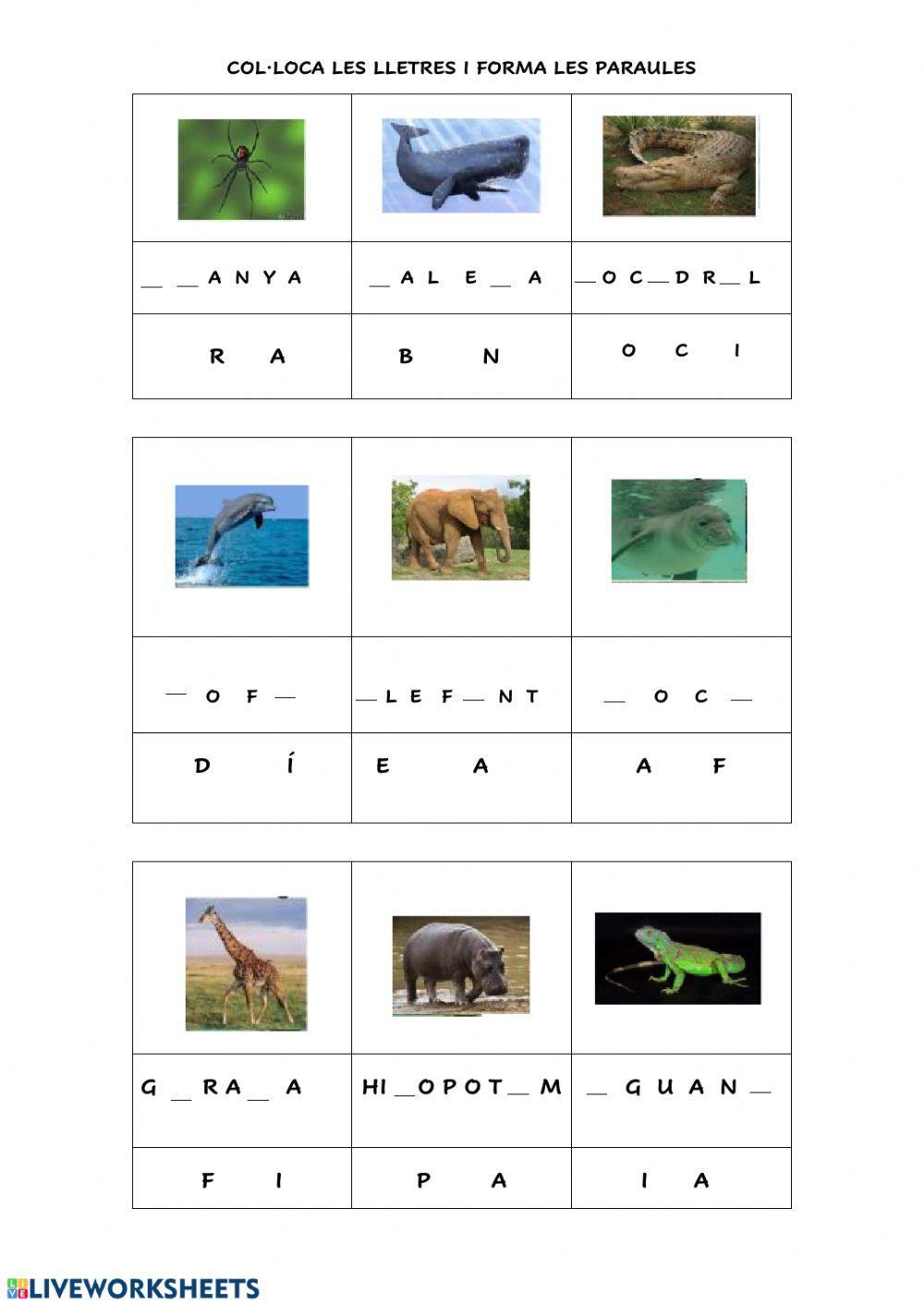 Animals ordenar lletres nivell 1
