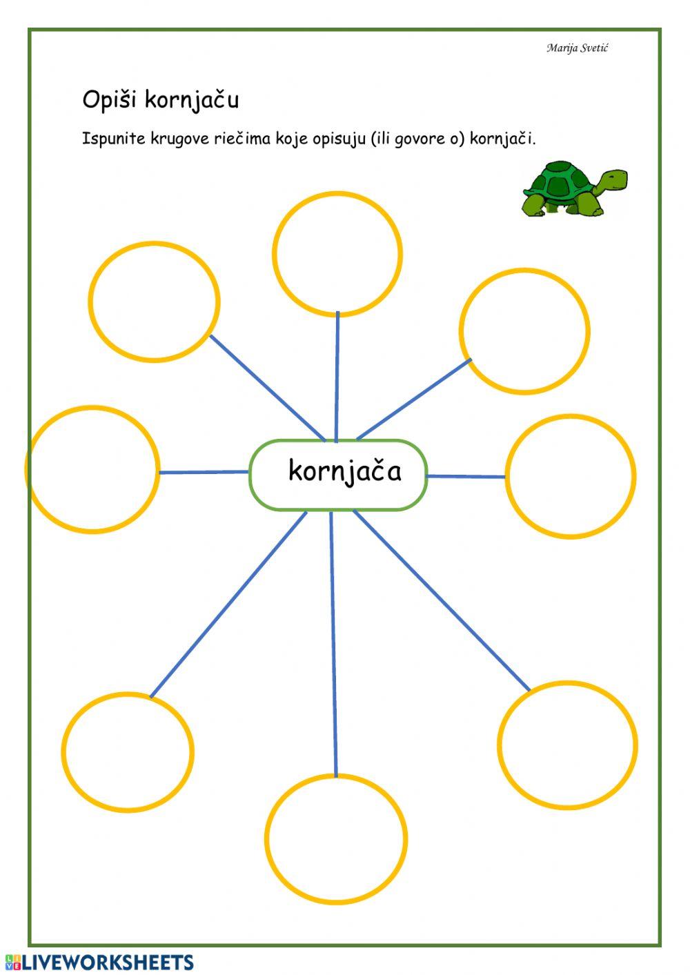 Opiši kornjaču