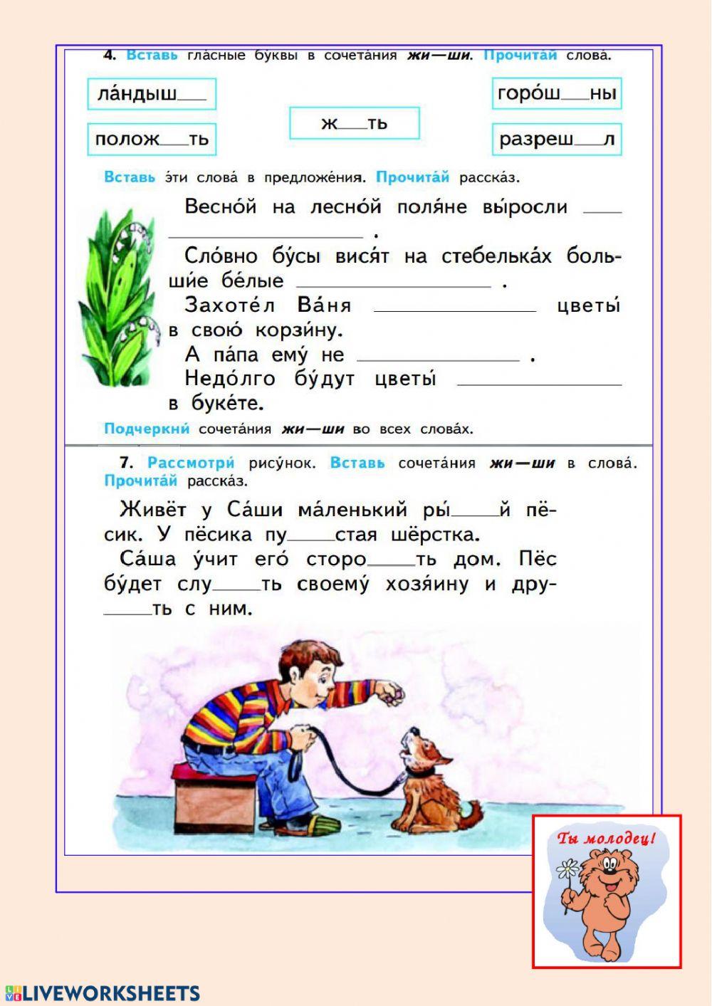 Правописание ЖИ, ШИ