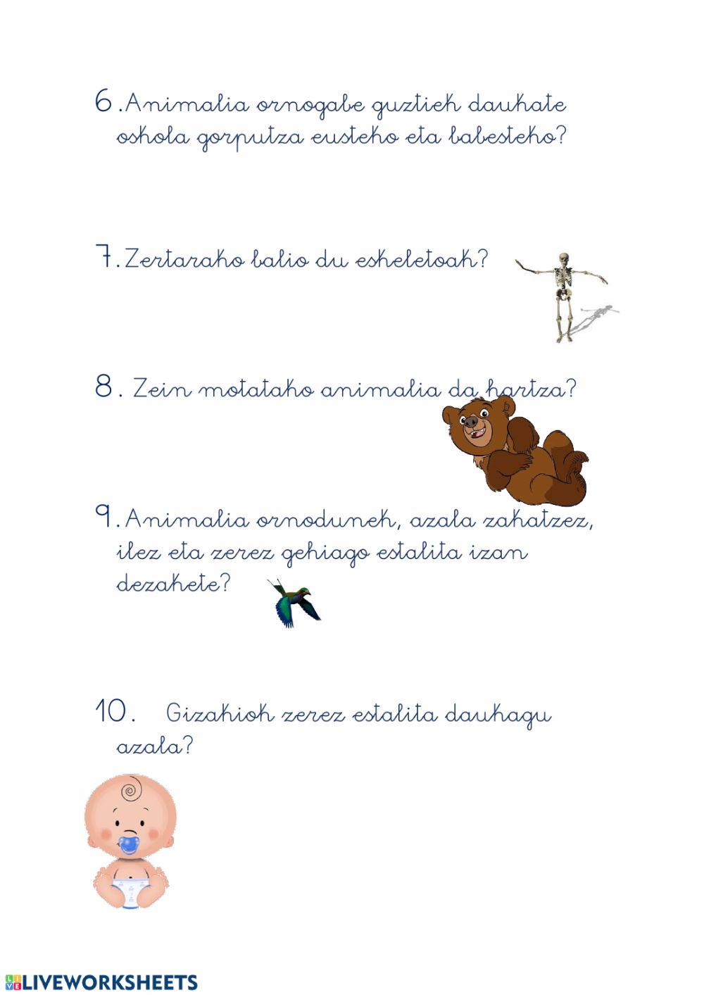 Izaki izaki bizidunak eta bizigabeak