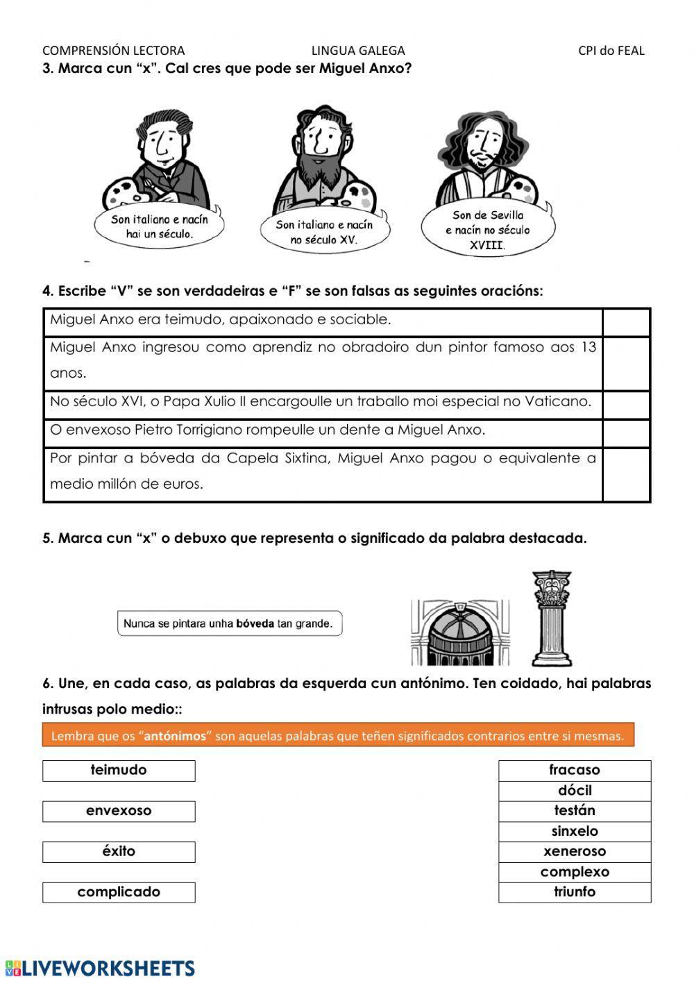 Comprensión lectora. Miguel Anxo.