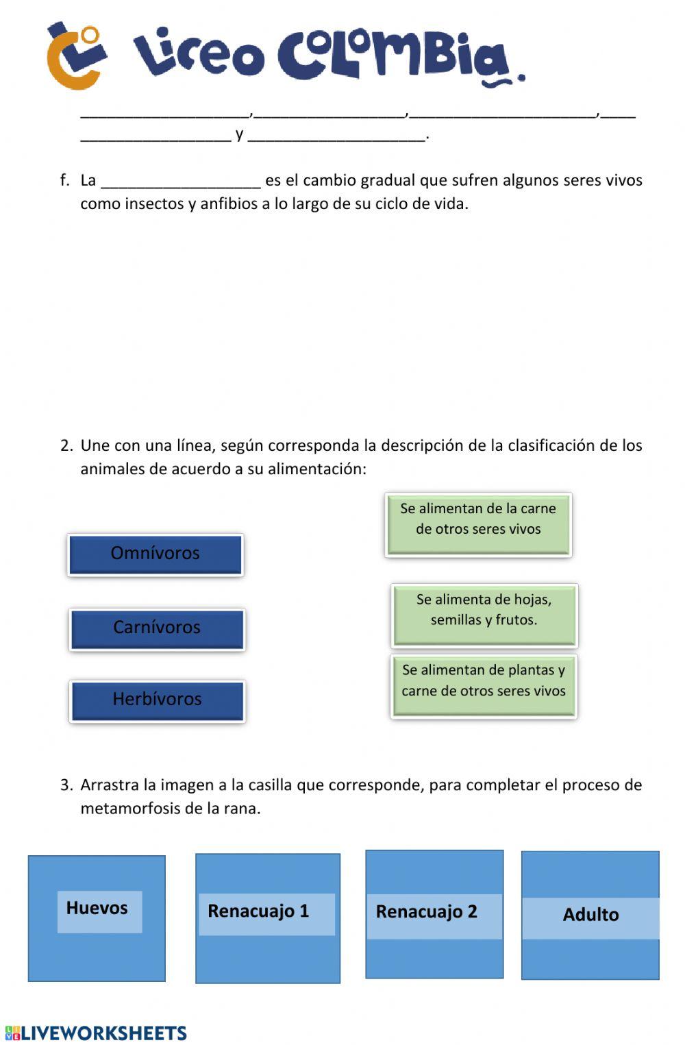 Actividad de repaso 1