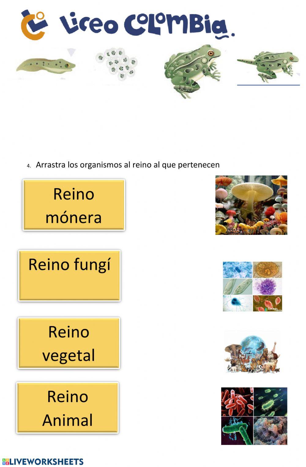 Actividad de repaso 1