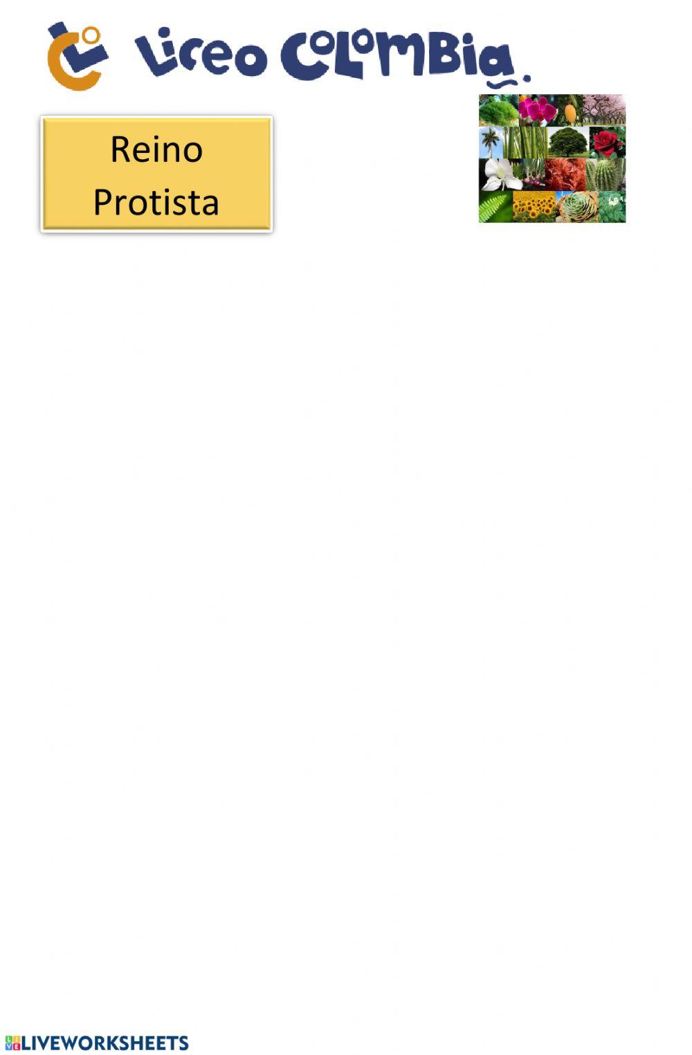 Actividad de repaso 1