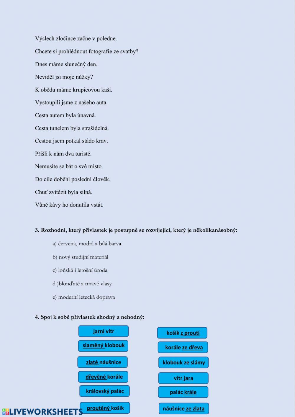 Přívlastek shodný a neshodný