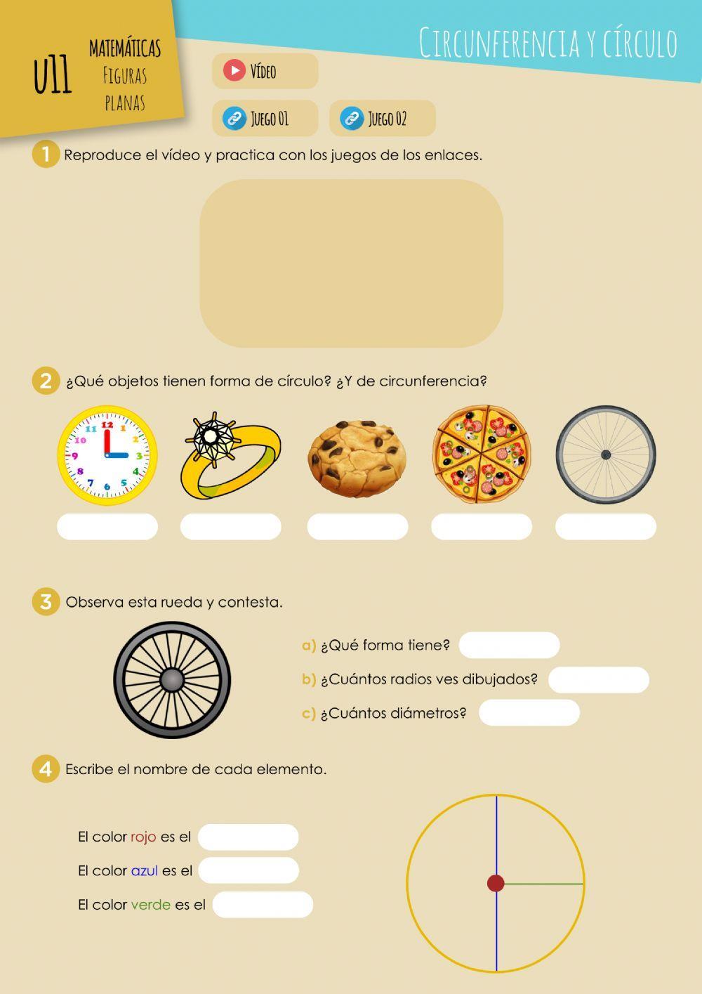 MAT U11 - Circunferencia y círculo