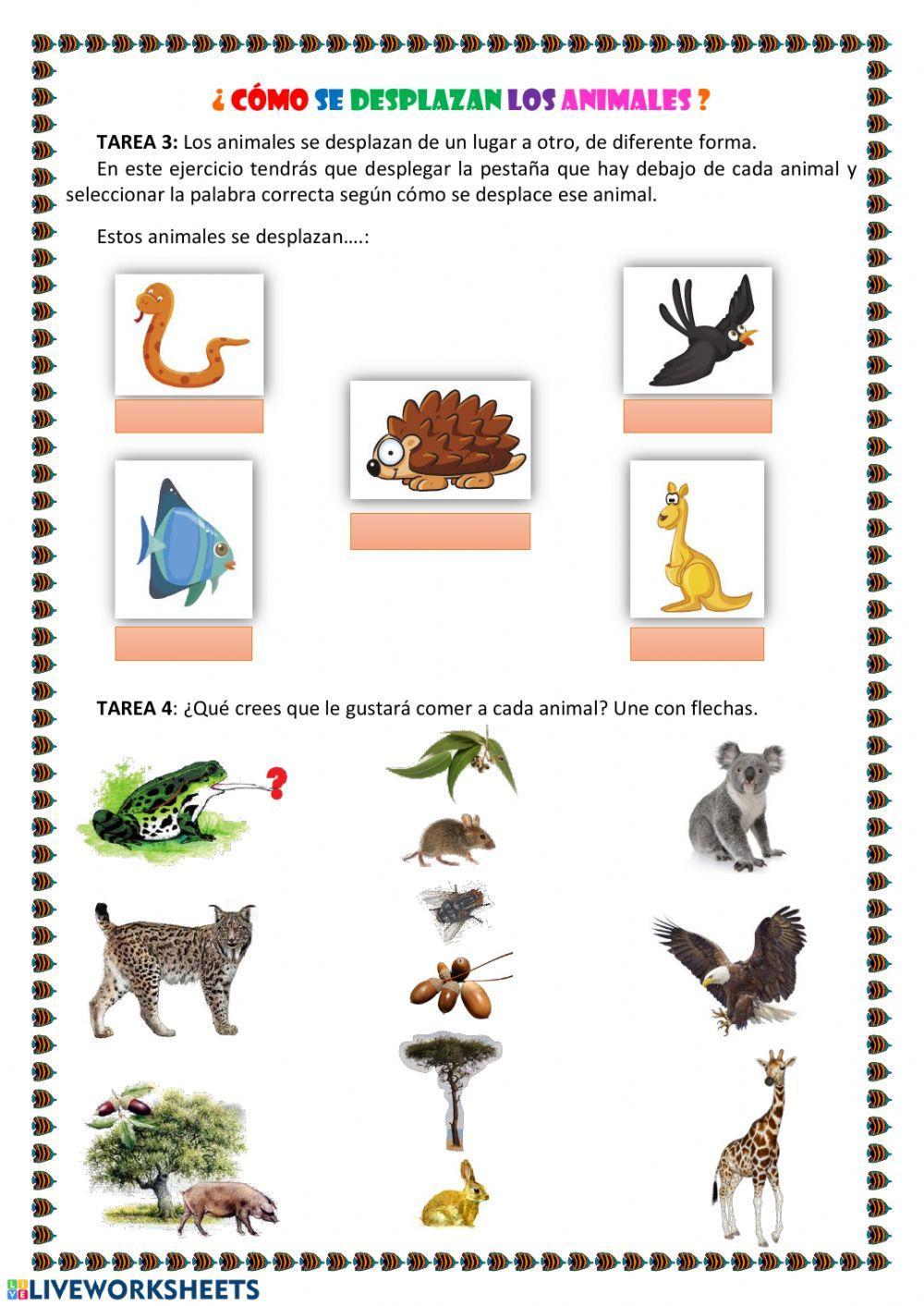 Animales vertebrados Animales vertebrados