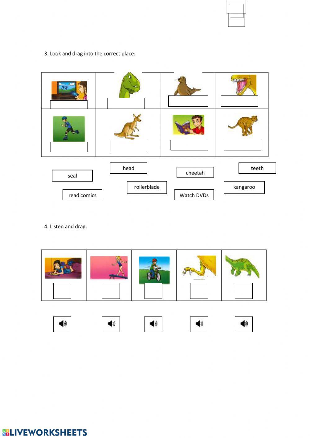 Vocabulary 3rd Primary